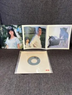美品　荻野目慶子 愛のオーロラ 映画イメージソング シングル盤