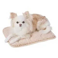 Item thumbnail for item b81784ac-77ac-4731-b776-4c79f99b8be3