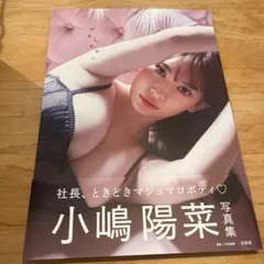 小嶋陽菜写真集 かもしれない