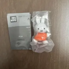 Item thumbnail for item 49388364-f34f-4366-b2ef-6edca028a80f