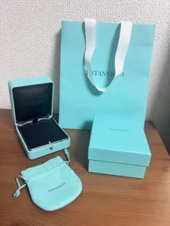 正規品美品】ティファニー空箱 ショッパーブレスレット用 2個セット