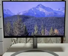 LG UltraHD 27インチ 4K ディスプレイ 27UD88-W - メルカリ