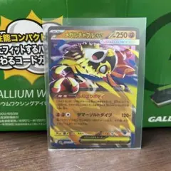 メガルチャブルex RR