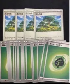 ポケモンカード 活力の森　基本草エネルギー　基本くさエネルギー　20枚