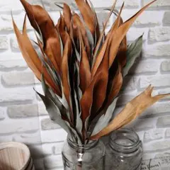 Miyuu【次回発送予定12/8】様 リクエスト 2点 まとめ商品