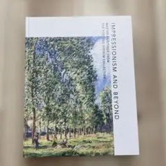 Impressionism and Beyond 印象派からその先へ 図録