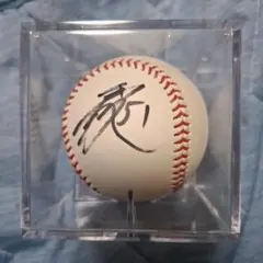 元広島カープ 現シカゴ・カブス 鈴木誠也 直筆サインボール 51