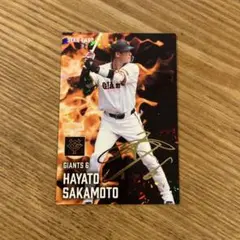 プロ野球チップス　カード　坂本勇人　スターカード