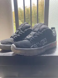 DC lynx
