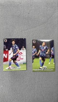 Item thumbnail for item 823b5d0d-d98c-4c76-969b-2726f40fdba5