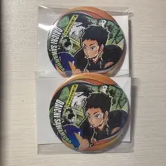 コレクション缶バッジ③