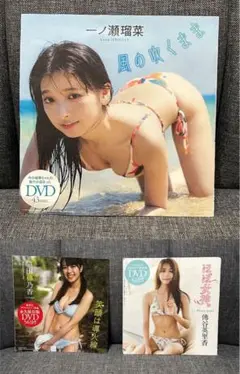 プレイボーイ 付録グラビアDVD