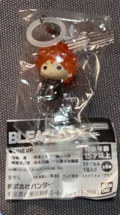 BLEACH ブリーチ めじるしアクセサリー 尸魂界篇 黒崎一護