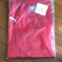 〜値下げ可能〜 サッカープーマピステ