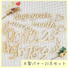 【大人気】木製レターバナー マンスリーフォト　月齢カード　月齢フォト　赤ちゃん