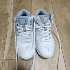 asics バスケットボールシューズ ホワイト