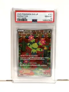 【PSA10】マラカッチ AR ポケモンカードのサムネイル