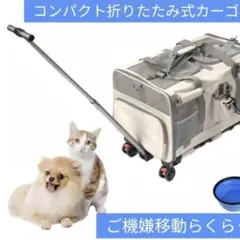 Item thumbnail for item 0b436c49-87a3-469d-aa77-d2d84e4e10de