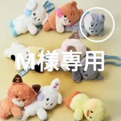 2025年最新】zeroni ぬいぐるみ フラットの人気アイテム - メルカリ