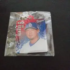 Item thumbnail for item 1bf623f8-3595-4308-9604-9b0748d10b1c