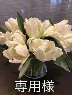 おしゃべりことばのずかん