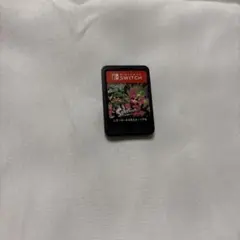 Switch カセット Splatoon2 スプラトゥーン2