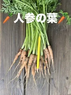 人参 の葉　約300gのサムネイル