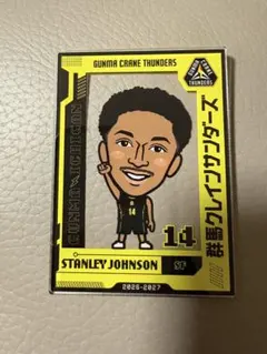 群馬クレインサンダーズ スタンリー・ジョンソン選手 アクリルカード