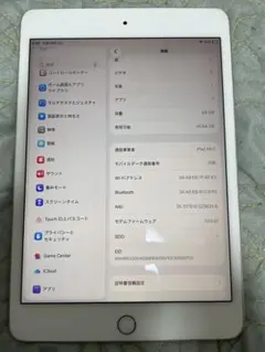 Apple iPad mini 5. 64GB シルバー