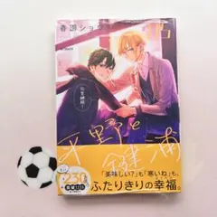 平野と鍵浦　5巻　新品未開封