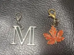 Item thumbnail for item e1ca07f8-efd1-4418-a89e-a09db884bc16