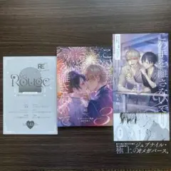 この手を離さないで　アニメイト特典小冊子　RED購入特典リーフレット　ペーパー