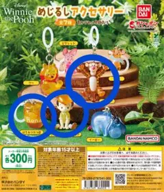 Winnie the Poohくまのプーさん　めじるしアクセサリー