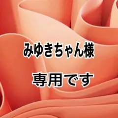みゆきちゃん様 リクエスト 2点 まとめ商品