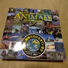 MITSUAKI IWAGO'S ANIMALS 地球の野生動物 岩合光昭