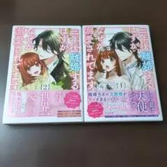 三年後離婚するはずがなぜか溺愛されてます 2巻セット
