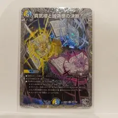 2026年最新】真気楼と誠偽感の決断の人気アイテム - メルカリ