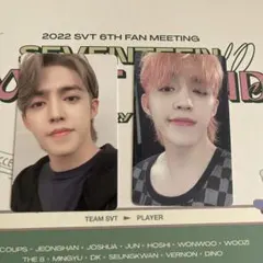 SEVENTEEN カラットランド　トレカ　エスクプス