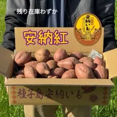 種子島安納いも Sサイズ 5㎏