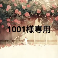 1001 様　専用