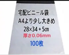 宅配ビニール袋A4より少し大きめ100枚