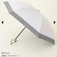 ☆新品☆最新モデル☆テイジン アクシア 木陰日傘 遮熱 晴雨兼用