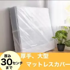 Item thumbnail for item cac2e907-f82b-4924-888b-95f1270f9336