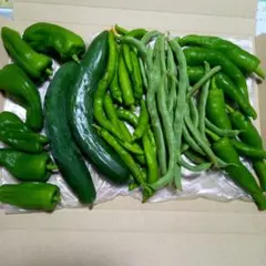 野菜の詰め合わせ　5種類のサムネイル