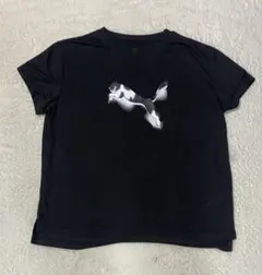 PUMA プーマ　160cm キッズ Tシャツ