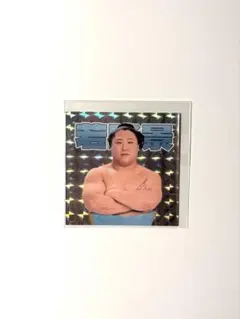 大相撲クレーン 若元春 ステッカー フェイスパック セット ホログラム