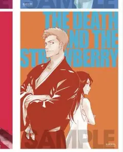 BLEACH 護廷高校 星十字学園 クリアファイル ポスター まとめ売り BLEACH 護廷高校 星十字学園 クリアファイル ポスター まとめ売り