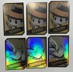 家庭教師ヒットマンREBORN キャラクターズホロカード　沢田綱吉　リボーン