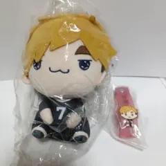 ハイキュー!! もちぴこ ぬいぐるみ 宮侑