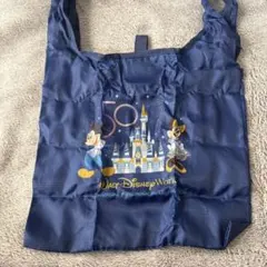 ディズニー　エコバッグとミニポーチ2点セット